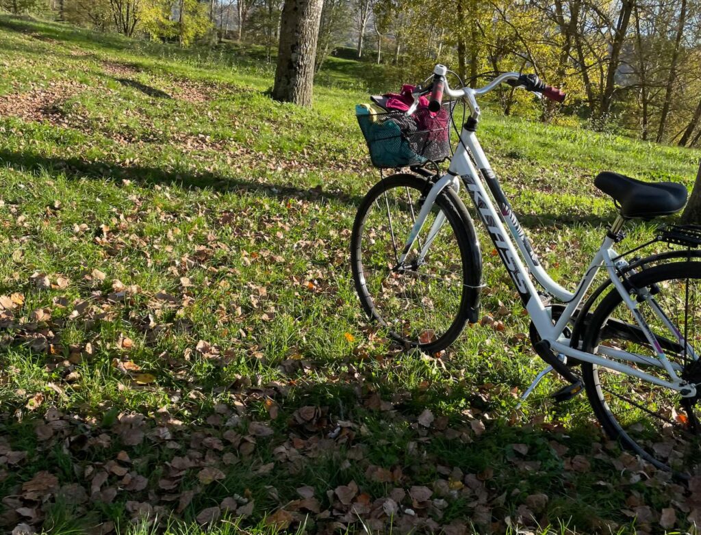 Pedala Firenze ti premia: come funziona il bonus bici e cosa sapere prima di aderire