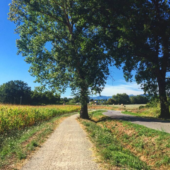 strada-migliore Risparmiare ogni centesimo o godersi la gioventù? Qual è la strada migliore per una buona vita?
